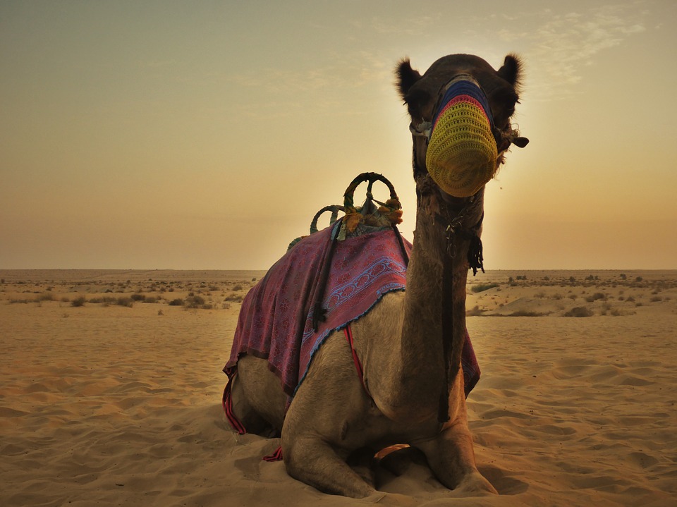 Luxus Urlaub Vereinigte Arabische Emirate - Ras AL Khaumal, alles inklusive, Hotel Flug Urlaub Reisen